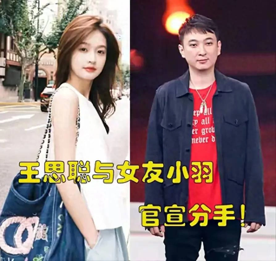 王思聪官宣分手上热搜！他不愿结婚可以有孩子，富豪父亲有纠结 - 万事屋 | 生活·动漫·娱乐综合社区-银魂同好聚集地