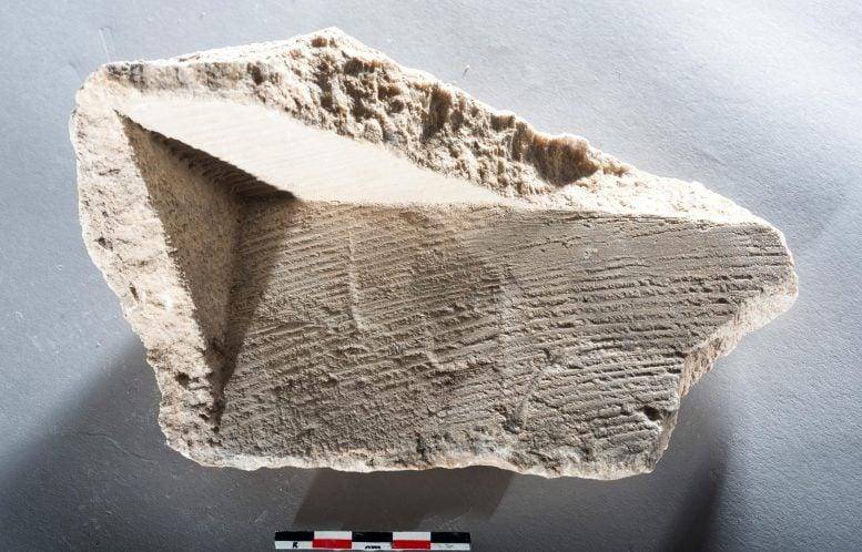 图片[2] - 古代遗址揭示 1800 年前罗马磨坊的工程奇迹 - 万事屋