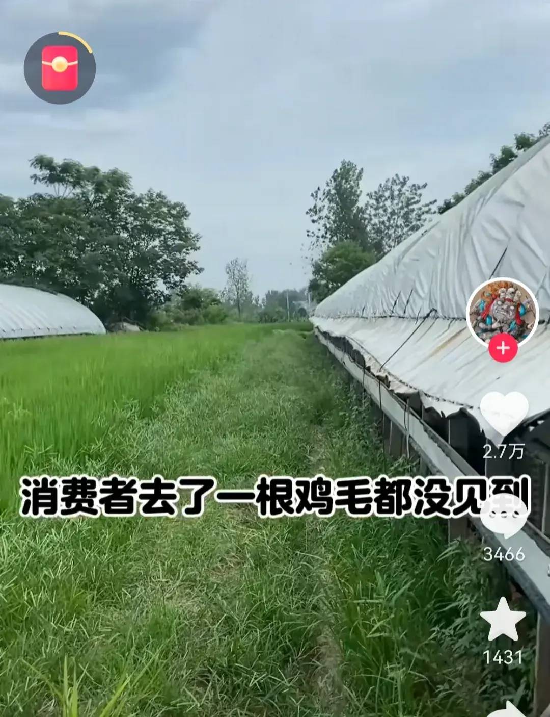 王海打假老乡鸡,连B太也翻车了,王海还透露一个荒唐的事-1 王海打假老乡鸡,连B太也翻车了,王海还透露一个荒唐的事-1