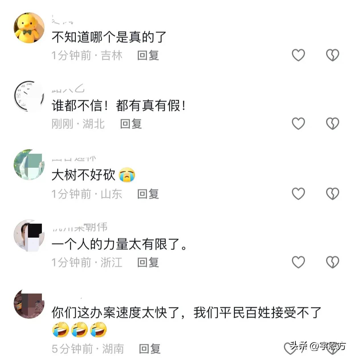 图片[6] - 【转载】陈志伟网络实名举报视频点赞超过百万后续，官方连夜通报 - 万事屋