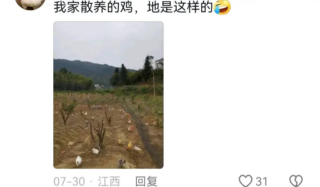 王海打假老乡鸡,连B太也翻车了,王海还透露一个荒唐的事-1 王海打假老乡鸡,连B太也翻车了,王海还透露一个荒唐的事-1