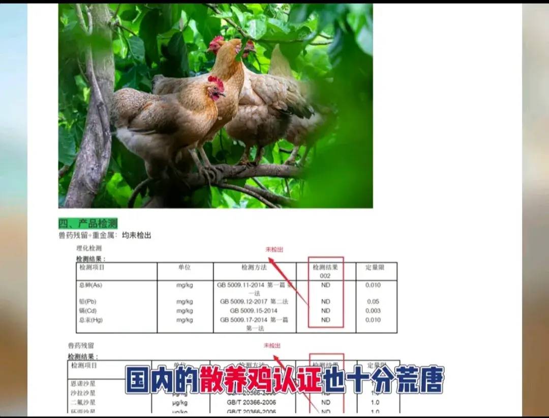 王海打假老乡鸡,连B太也翻车了,王海还透露一个荒唐的事-1 王海打假老乡鸡,连B太也翻车了,王海还透露一个荒唐的事-1