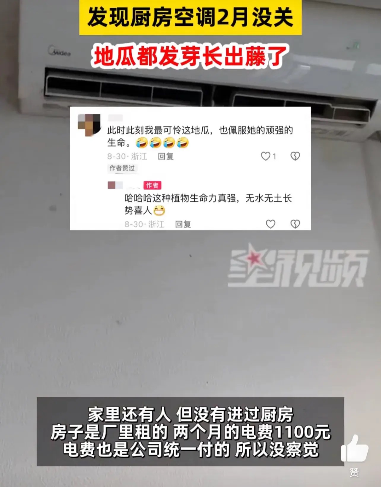 女子忘关空调离家2个月地瓜长出藤 - 万事屋 | 生活·动漫·娱乐综合社区-银魂同好聚集地