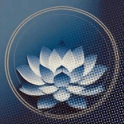 这款可以将视频转成GIF动图的应用正在iOS上限时免费中！ - 软件交流银魂 - 科技改变生活 - 万事屋 | 生活·动漫·娱乐综合社区-银魂同好聚集地