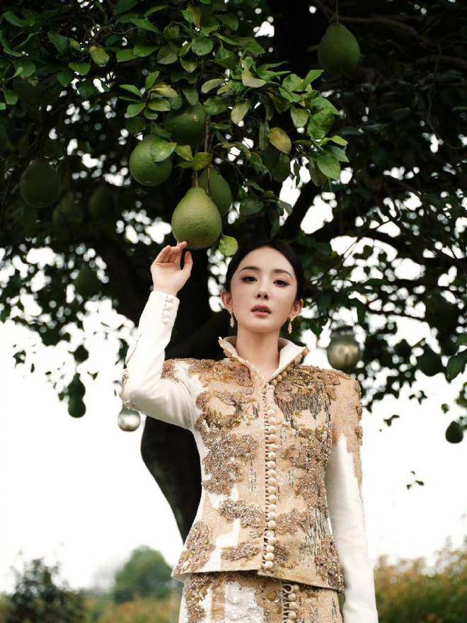 杨幂新中式秀禾搭配中分国风盘发，妥妥画中人 - 万事屋 | 生活·动漫·娱乐综合社区-银魂同好聚集地