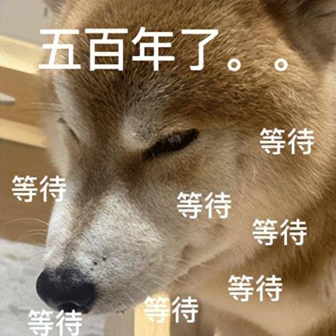 iPhone 16全系上车最强3nm芯片A18!作为首款AI原生手机,亮点是按键!-1 iPhone 16全系上车最强3nm芯片A18!作为首款AI原生手机,亮点是按键!-1