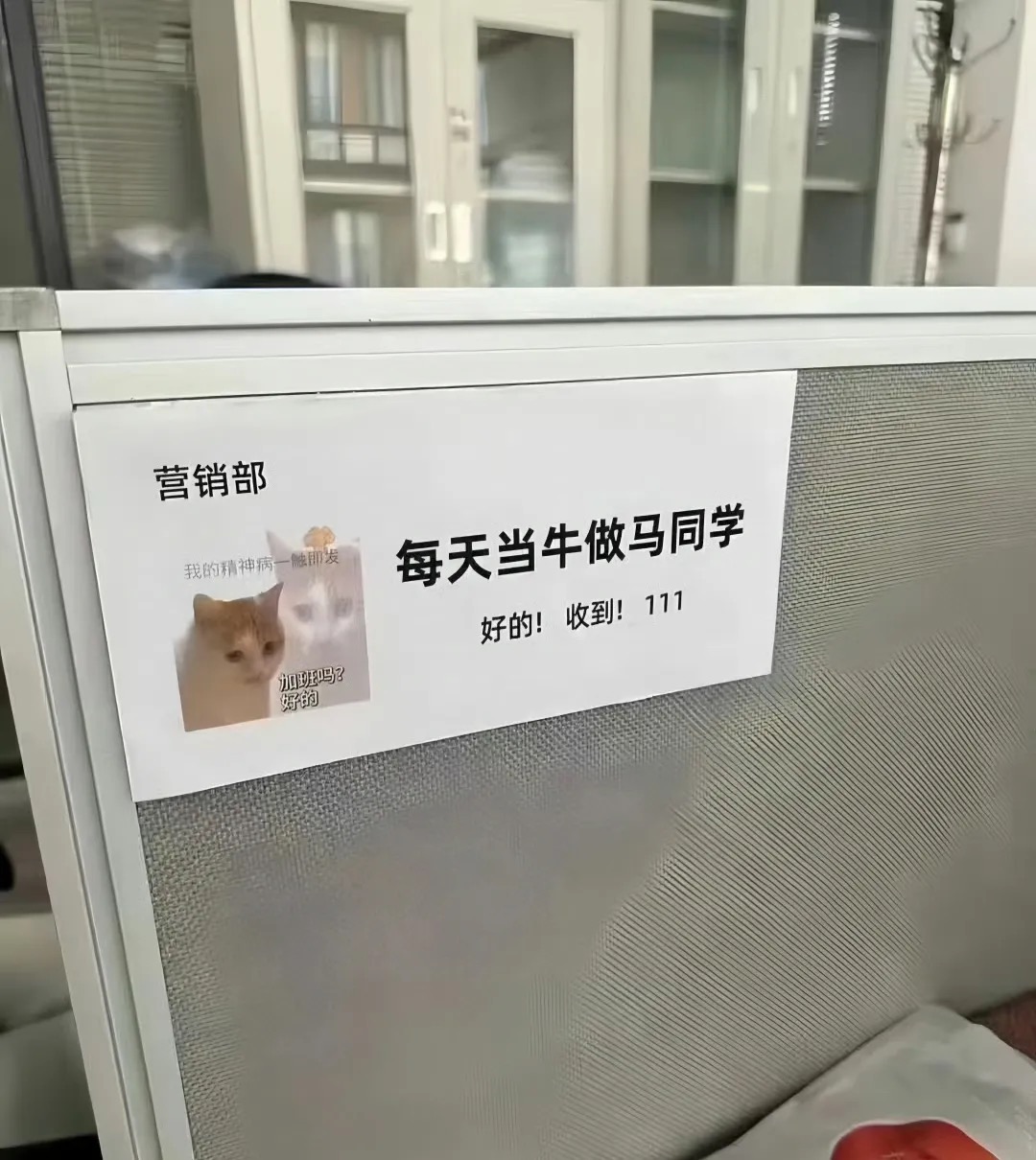 图片[5] - 这个办公室的全员反骨是吧？ - 生活银魂 - 大众生活 - 万事屋