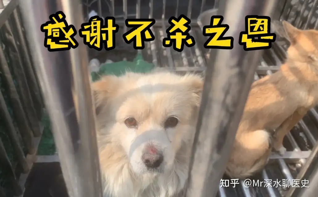图片[9] - 讲个笑话：中医是有标准利于发展呢还是没有标准利于中医发展？ - 生活银魂 - 大众生活 - 万事屋