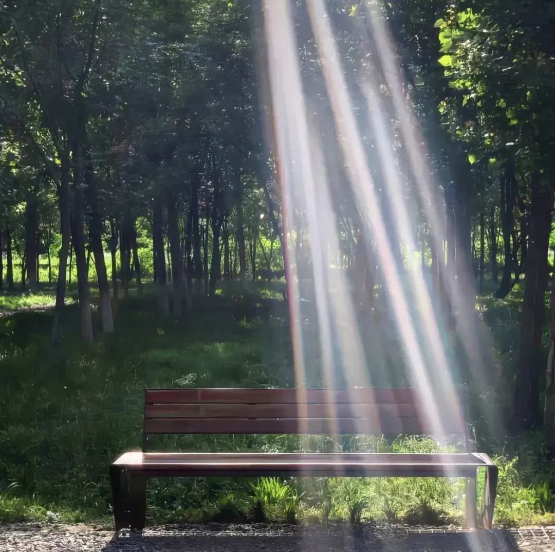 出去玩发的朋友圈，仅半句就封神