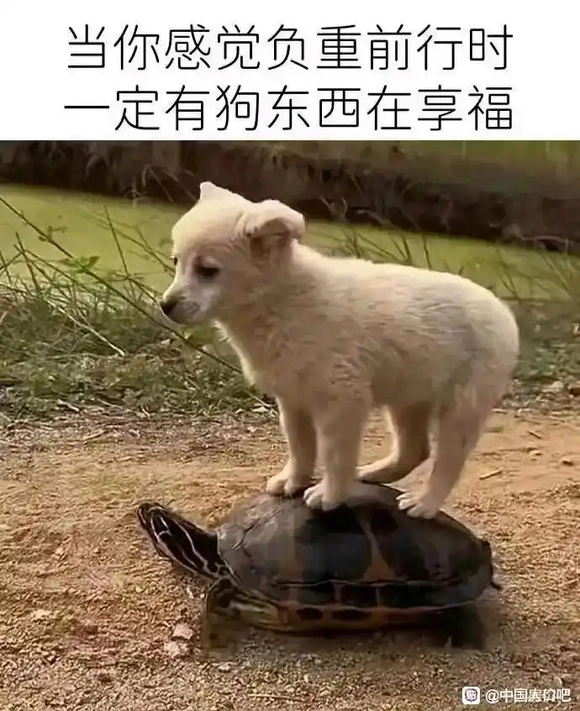 有网友吐槽华为是典型的官商勾结,看似愤怒的文字里透露着一丝道理