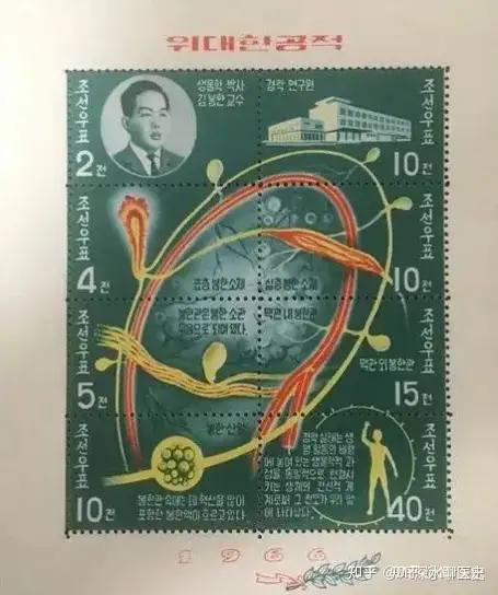 有人问：美国、日本都证实经络的存在了，为什么有人视而不见呢？深水哥答：