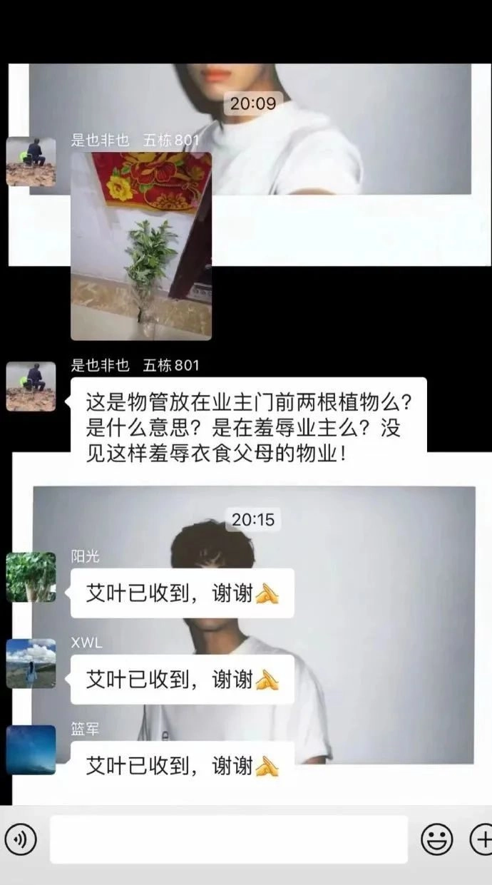热搜上细思恐极的“预制人”事件：新型智障，正在逼疯中国年轻人