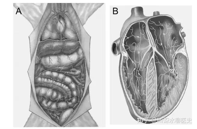 有人问：美国、日本都证实经络的存在了，为什么有人视而不见呢？深水哥答：