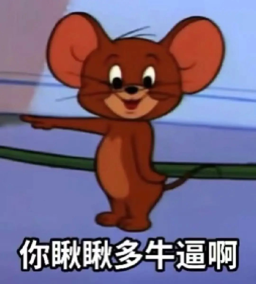 网红在联合国会议套餐要价高达26万?其实只要200块!