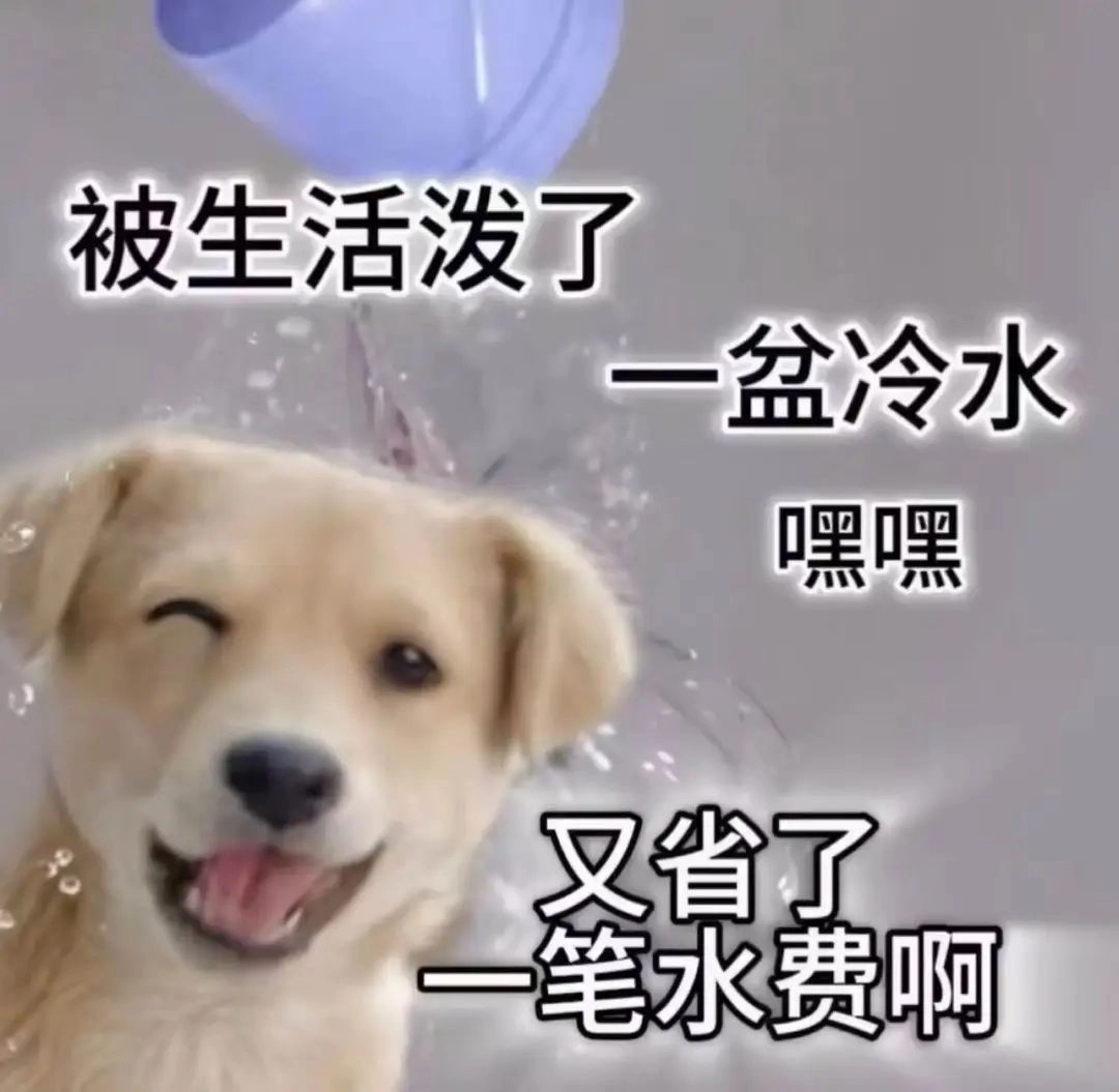 网红在联合国会议套餐要价高达26万?其实只要200块!