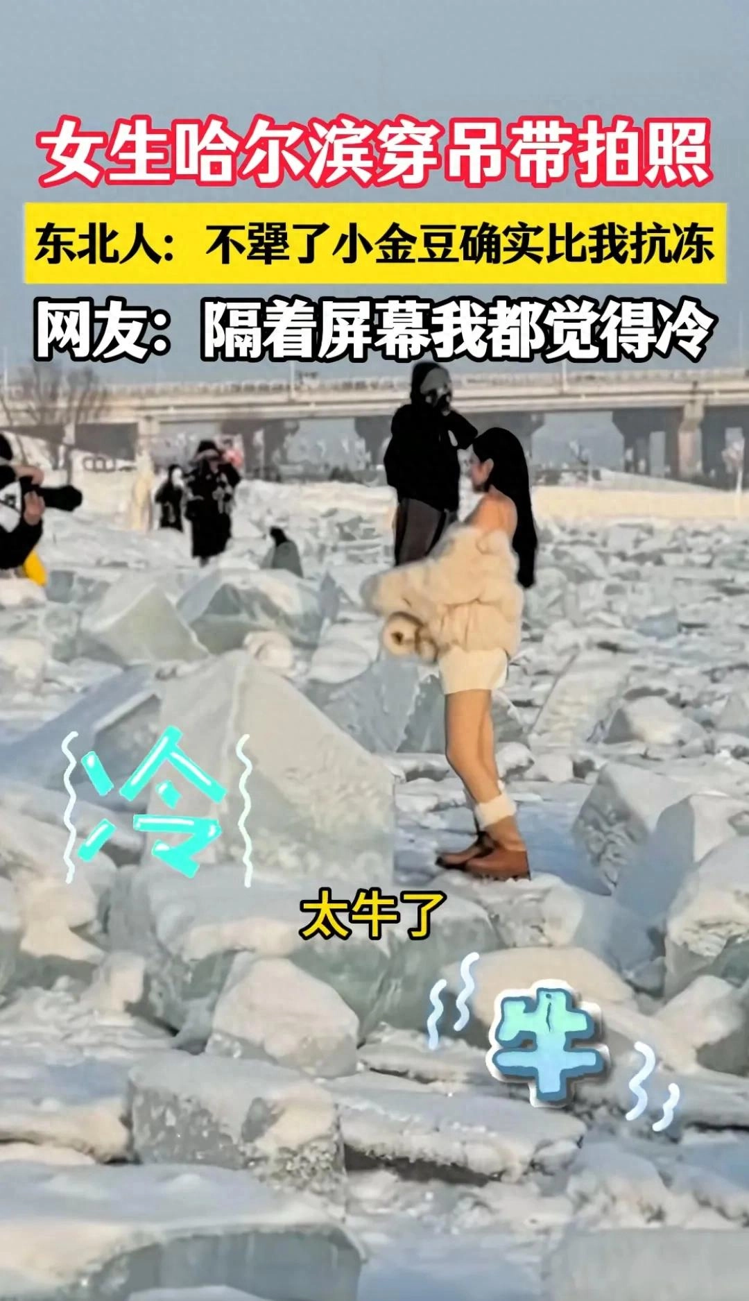 东北人看到“女生哈尔滨穿吊带拍照”后终于不犟了,小金豆确实比我抗冻!