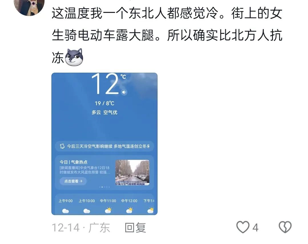 东北人看到“女生哈尔滨穿吊带拍照”后终于不犟了,小金豆确实比我抗冻!