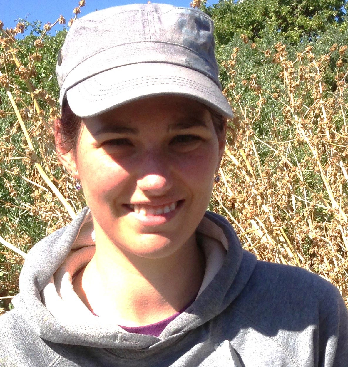 科学家警告：澳洲花岗岩岛的小蓝企鹅濒临灭绝