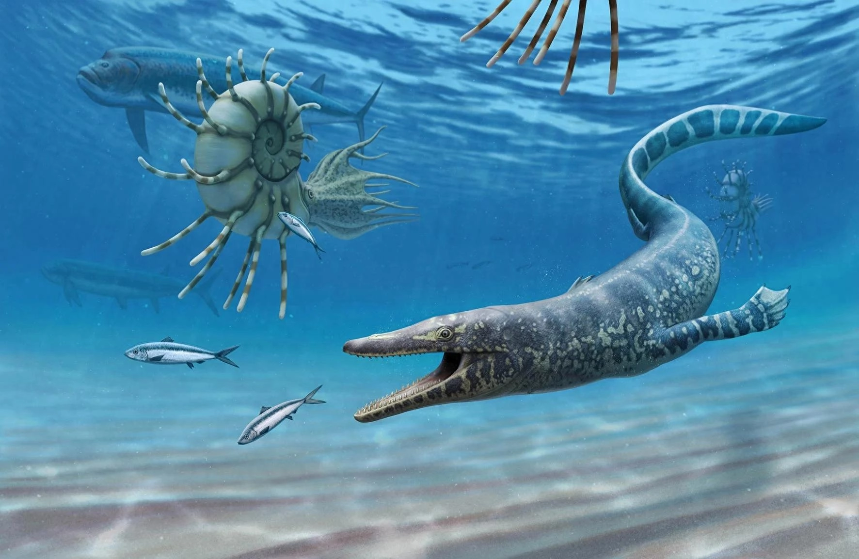 揭开吞噬同类的海蜥 Mosasaurs（沧龙）的黑暗秘密 - 万事屋 | 生活·动漫·娱乐综合社区-银魂同好聚集地