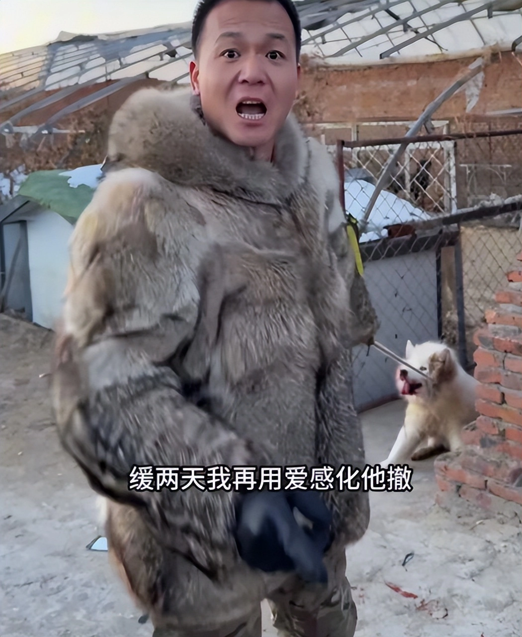 潘宏发声表明不反对吃狗肉,评论区两极分化,爱狗人士坐不住了