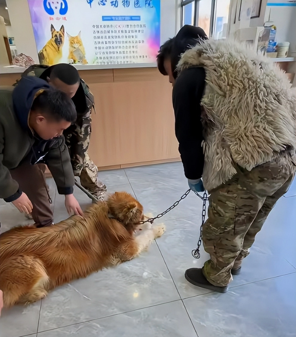 潘宏发声表明不反对吃狗肉,评论区两极分化,爱狗人士坐不住了