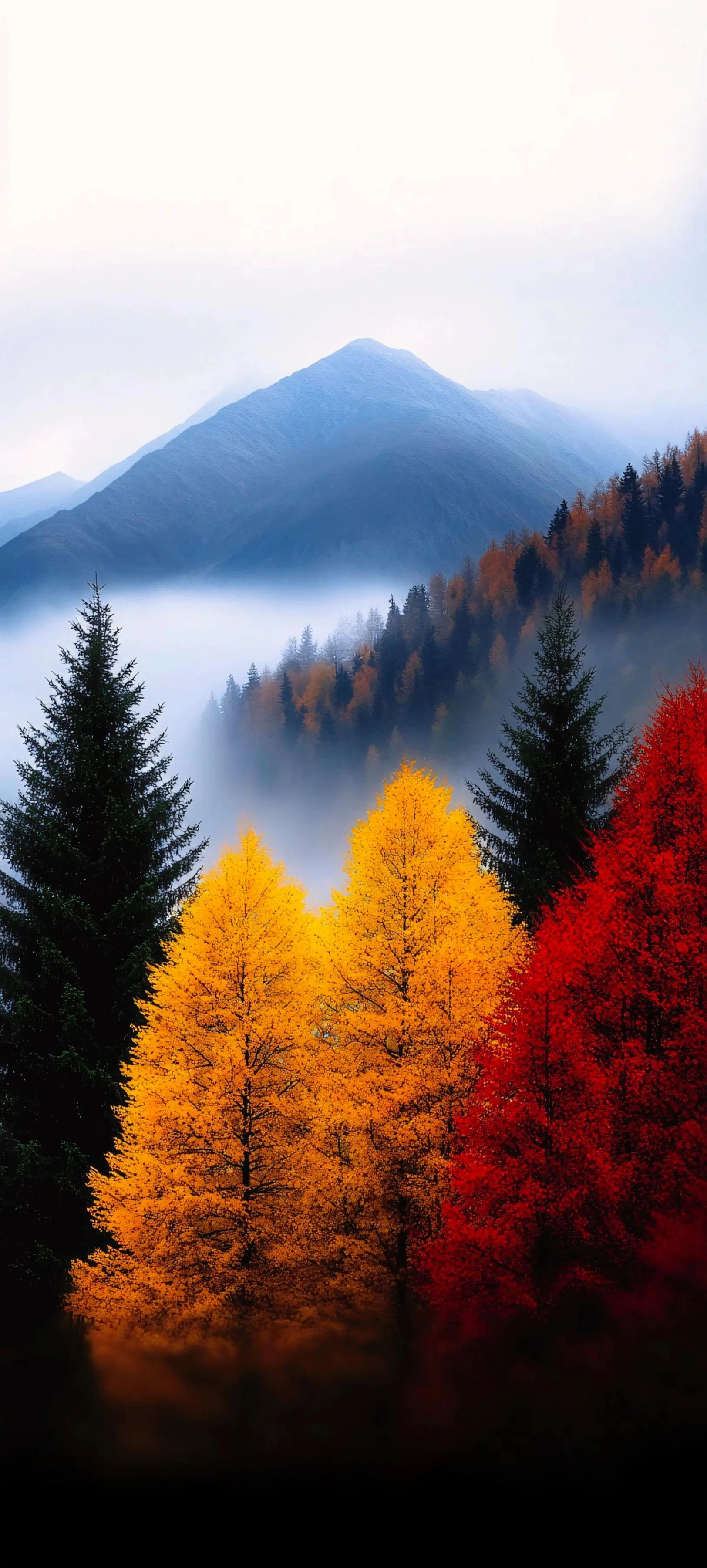 分享一些手机壁纸