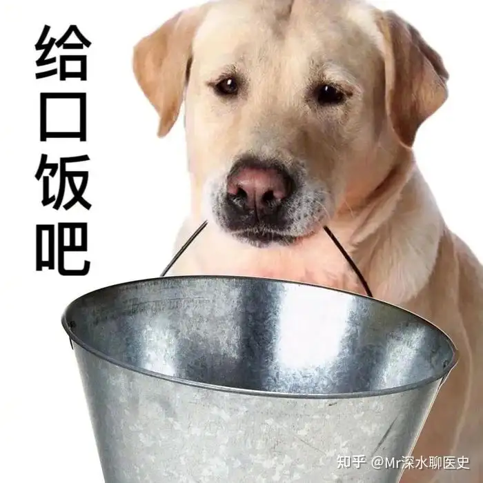 为什么现在还有一些中医爱好者认为可以无证行医？