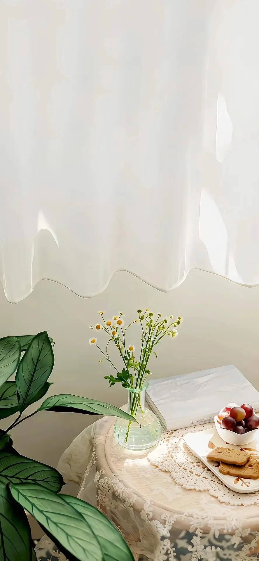 一些可爱的手机高清壁纸