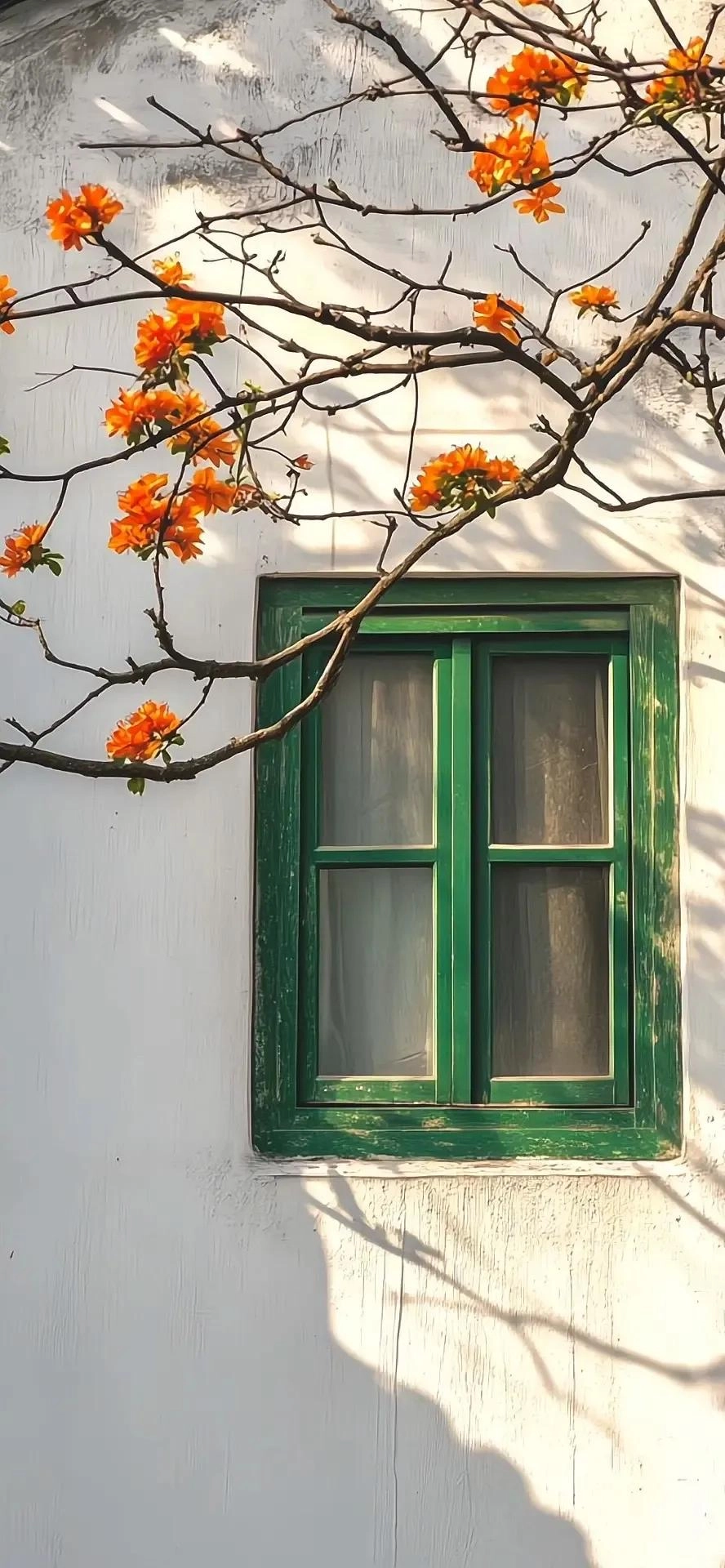 一些可爱的手机高清壁纸