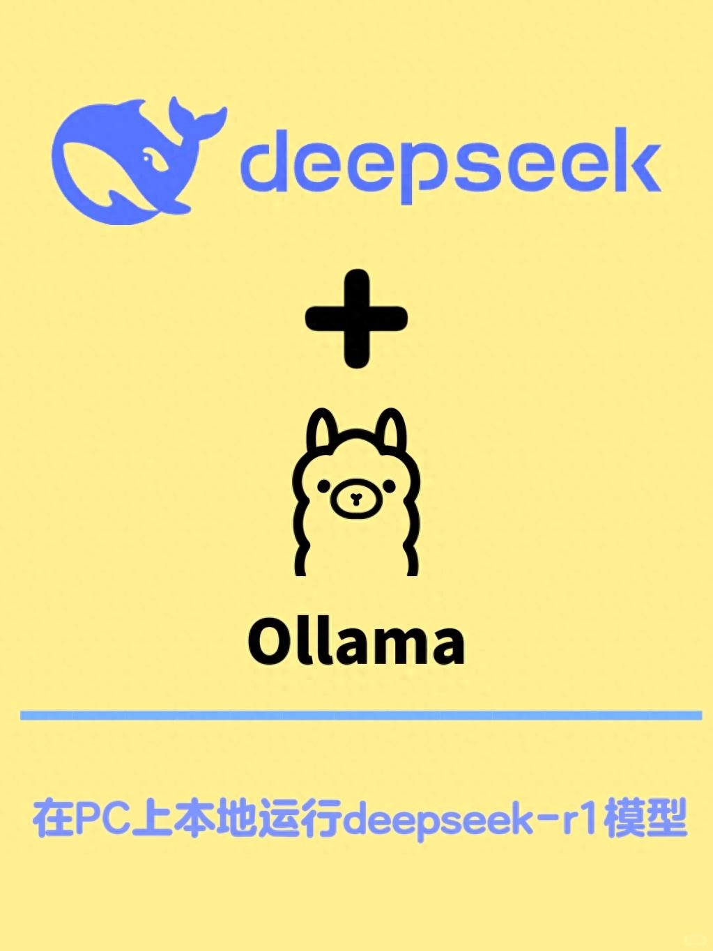 教你把DeepSeek - R1装进电脑