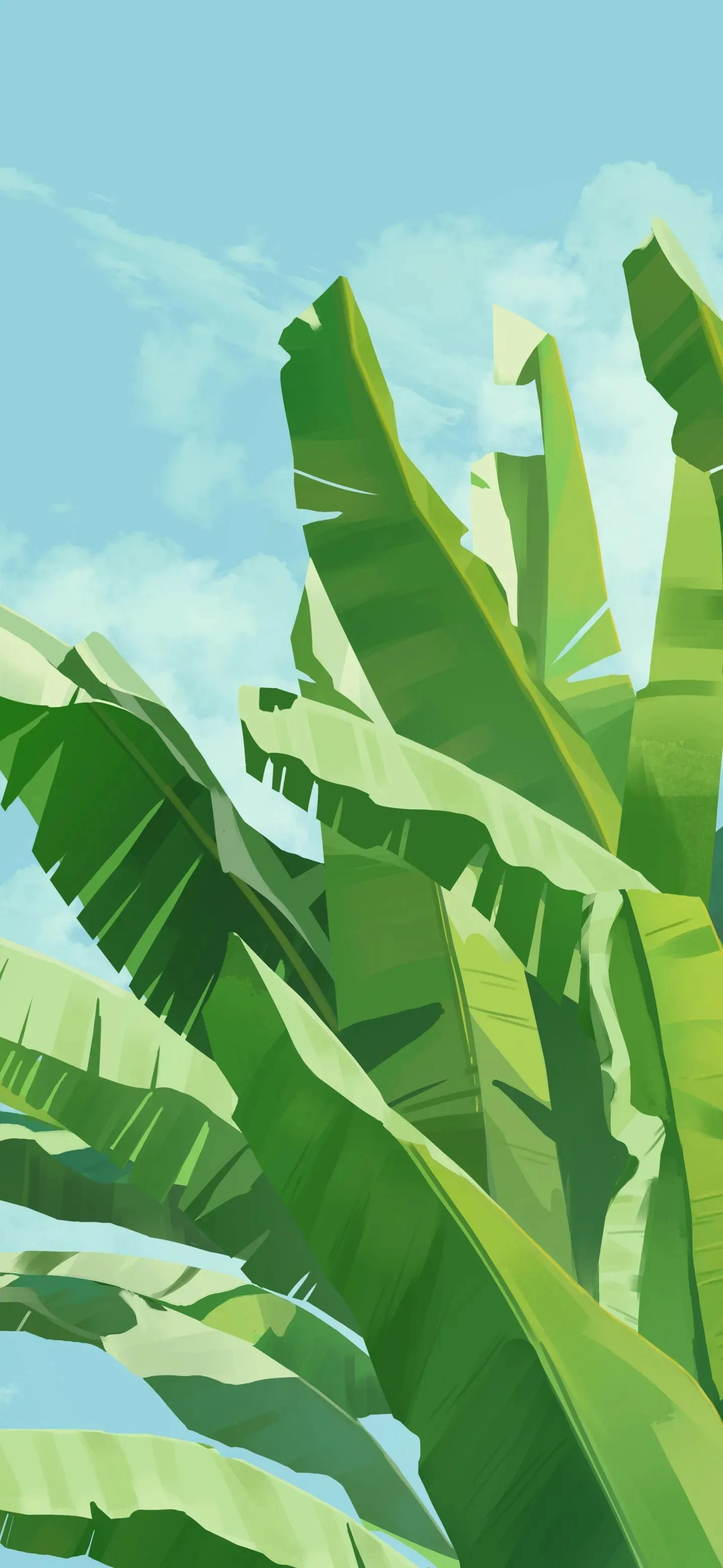 这些手机壁纸不错，值得分享