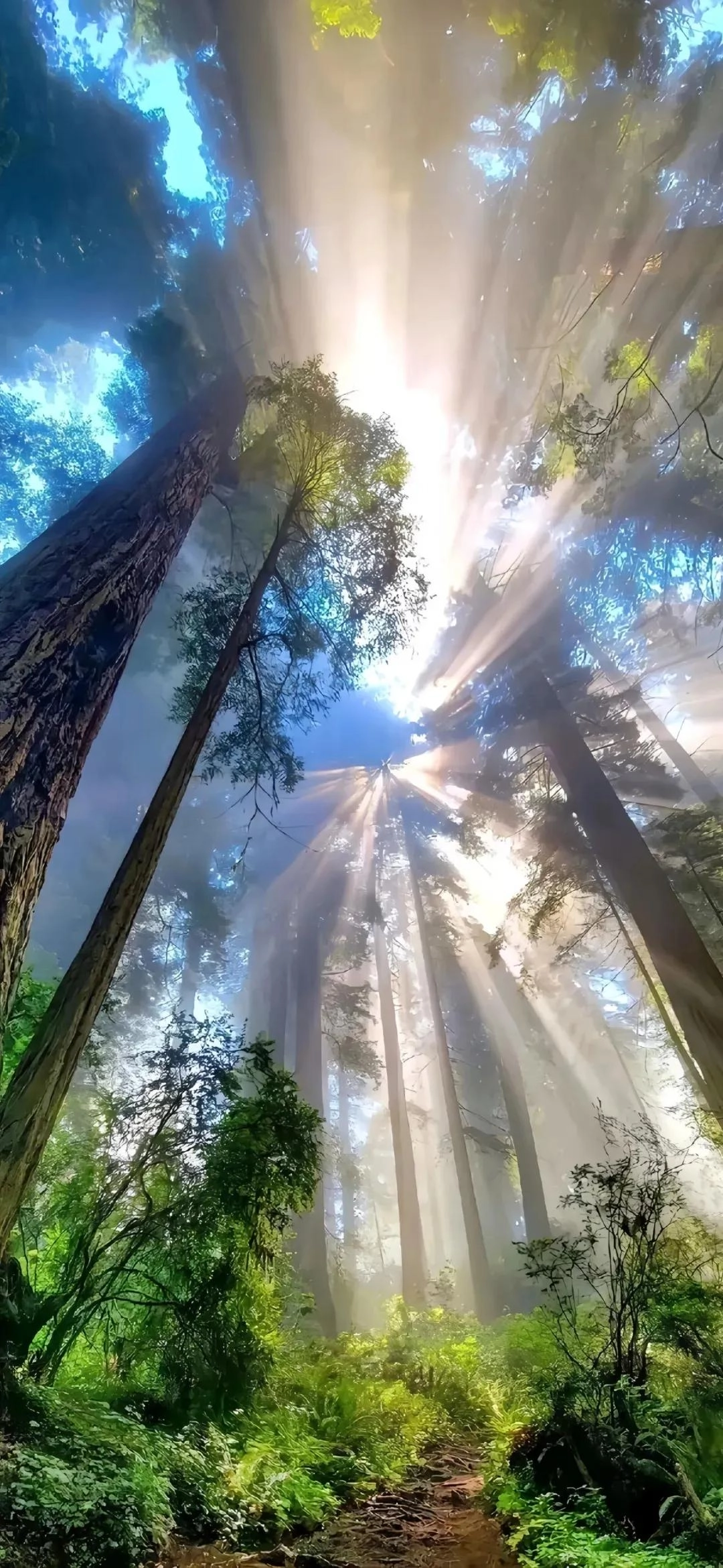 分享一些手机壁纸，比如，黄金万两！