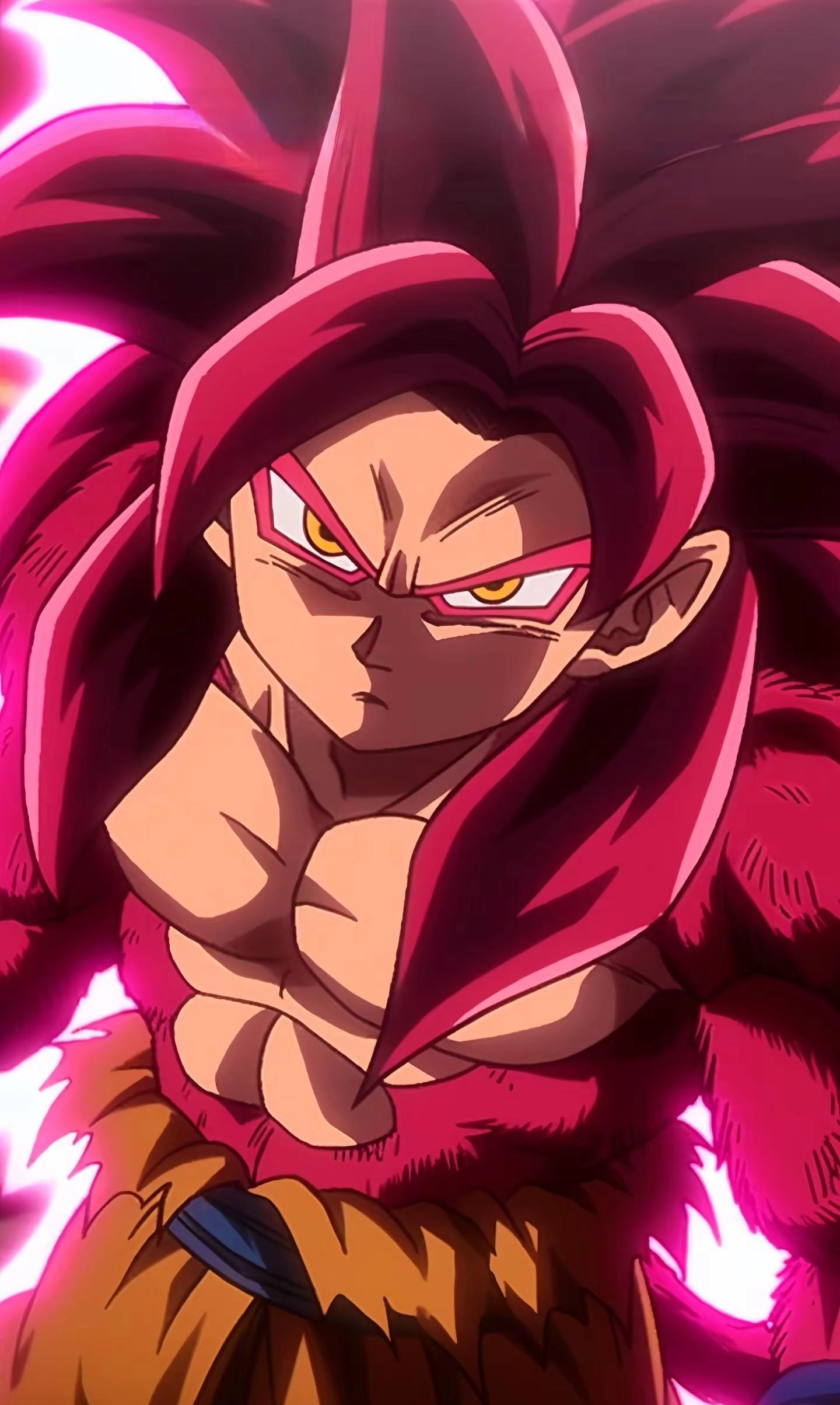 20250217230017550-image