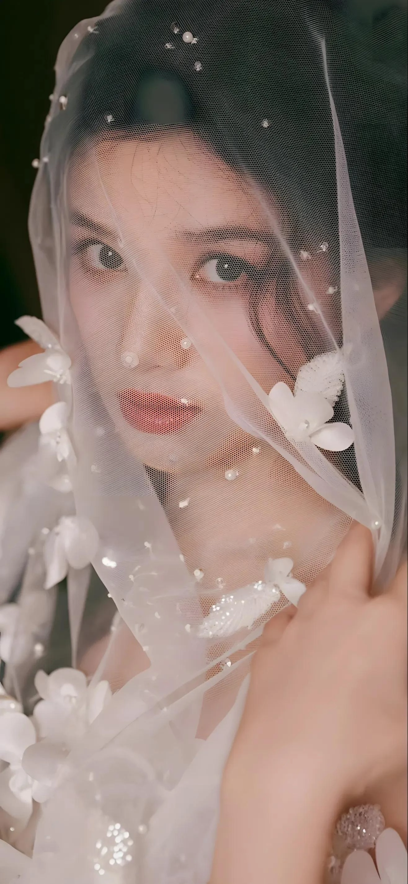 分享一些女星高清壁纸 - 万事屋 | 生活·动漫·娱乐综合社区-银魂同好聚集地