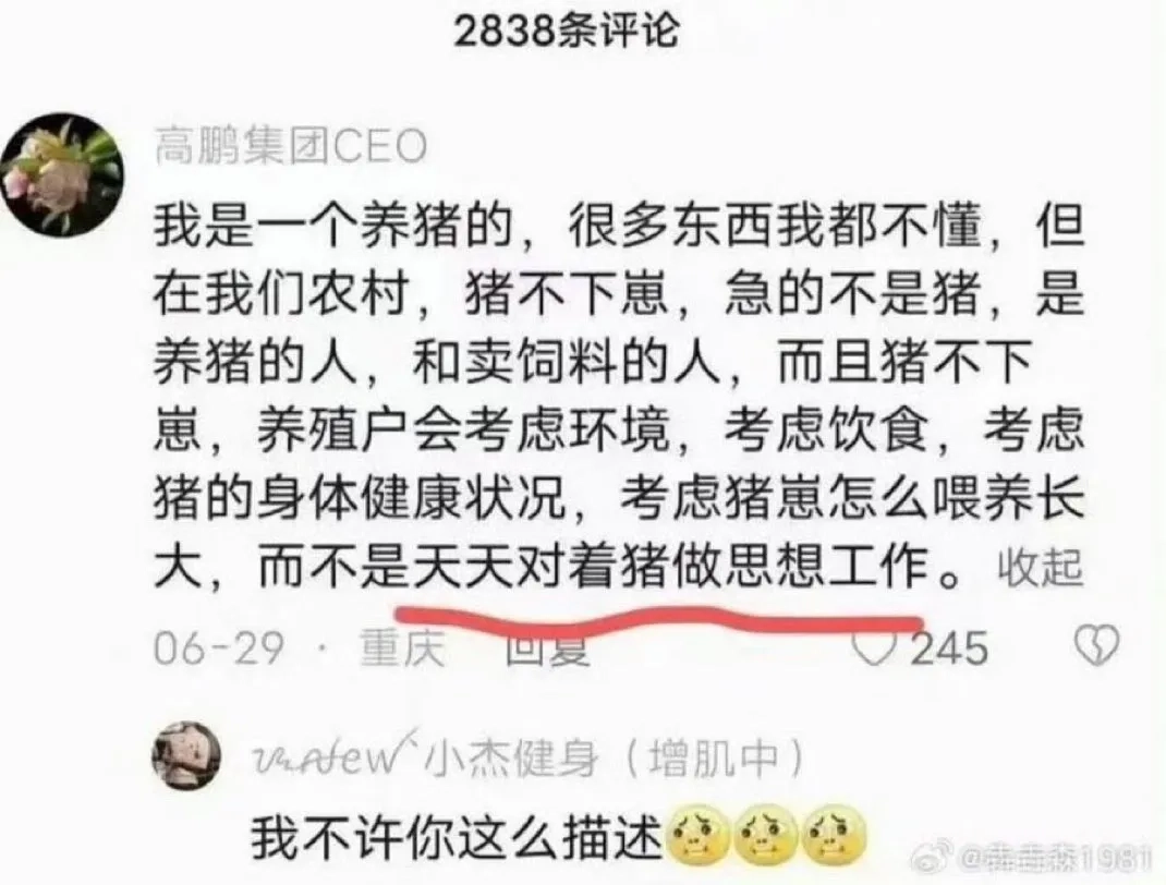 连农民伯伯都懂得事，有些人是真不懂吗？怎么让猪生仔，这个问题这么简单！ - 生活银魂 - 大众生活 - 万事屋 | 生活·动漫·娱乐综合社区-银魂同好聚集地