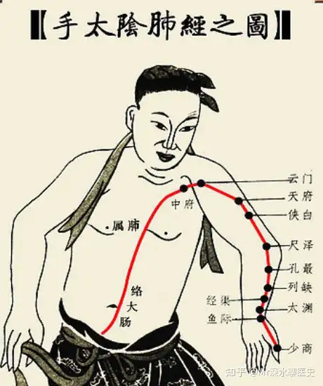吴以岭院士说“血管即中医所说的经络 ”，大家怎么看？看看人家深水哥怎么回答 - 吐槽银魂 - 大众生活 - 万事屋 | 生活·动漫·娱乐综合社区-银魂同好聚集地
