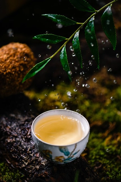 网红宣称“米汤替代奶粉”被禁言:传统的迷思还是健康的隐患?