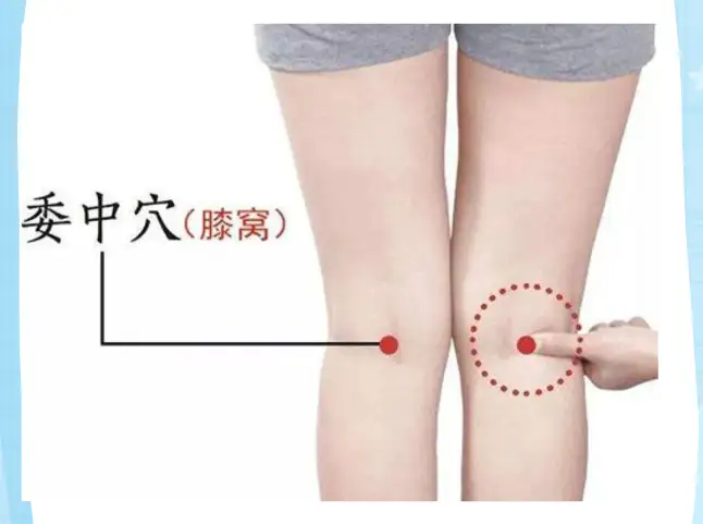 吴以岭院士说“血管即中医所说的经络 ”，大家怎么看？看看人家深水哥怎么回答 - 万事屋 | 生活·动漫·娱乐综合社区-银魂同好聚集地