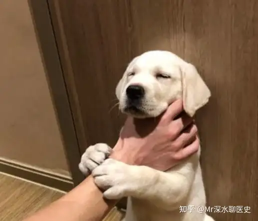 有个叫华红兵的扬言用中医真能卡住西方人的命吗？看看深水哥怎么吐槽的