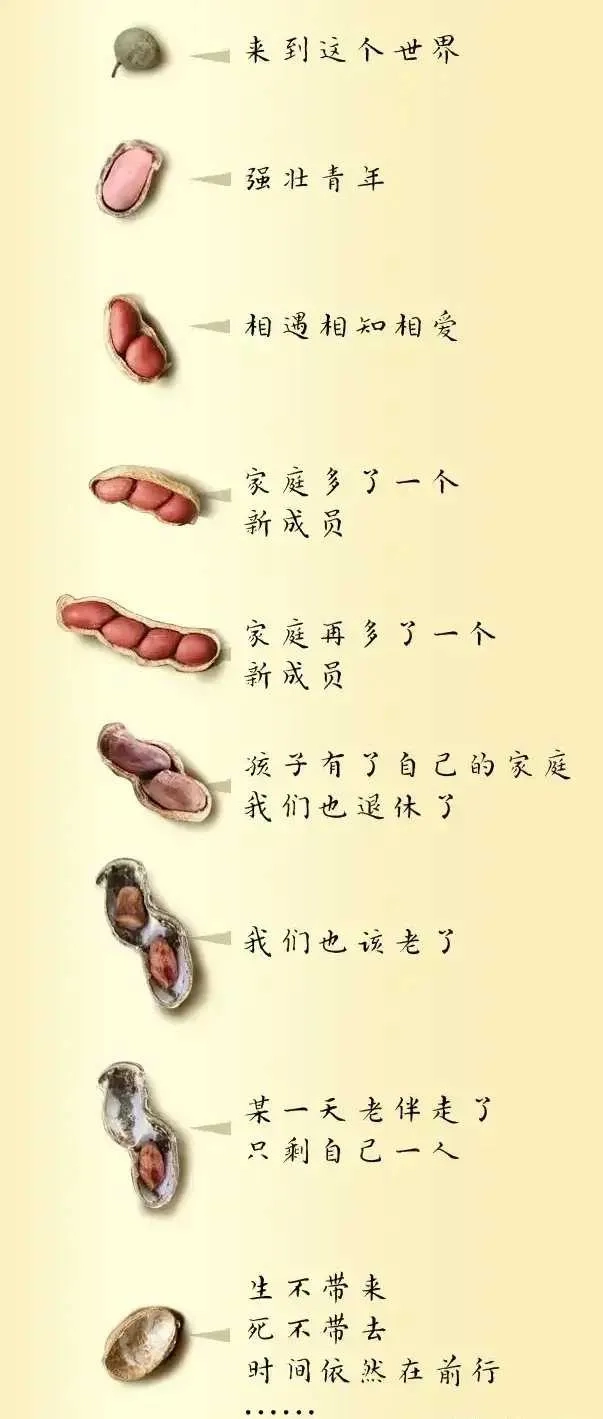 平凡的人生，你完成了多少？ - 生活银魂 - 大众生活 - 万事屋 | 生活·动漫·娱乐综合社区-银魂同好聚集地