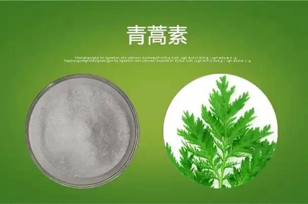 青蒿素：废医验药的成功典范与中医药现代化必然性论证 - 万事屋 | 生活·动漫·娱乐综合社区-银魂同好聚集地