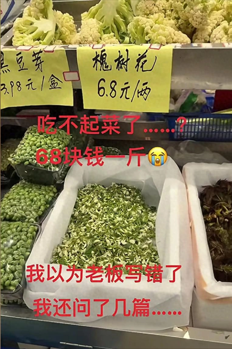上海一女子曝光槐花刺客,天天半夜锯树偷槐花,路两旁的树都秃了