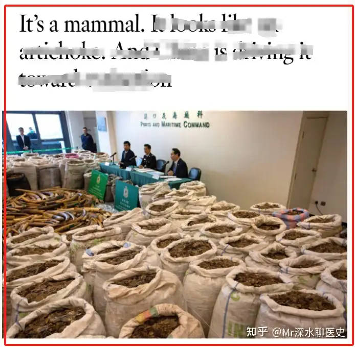 为什么中医中药一旦离开中国就被另眼相看?看网友怎么揭穿它