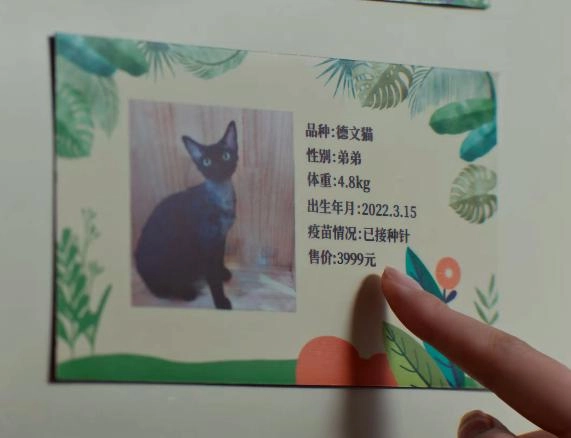 网友吐槽《蛮好的人生》全剧“假”穷人,编剧你去体验体验生活好吗?