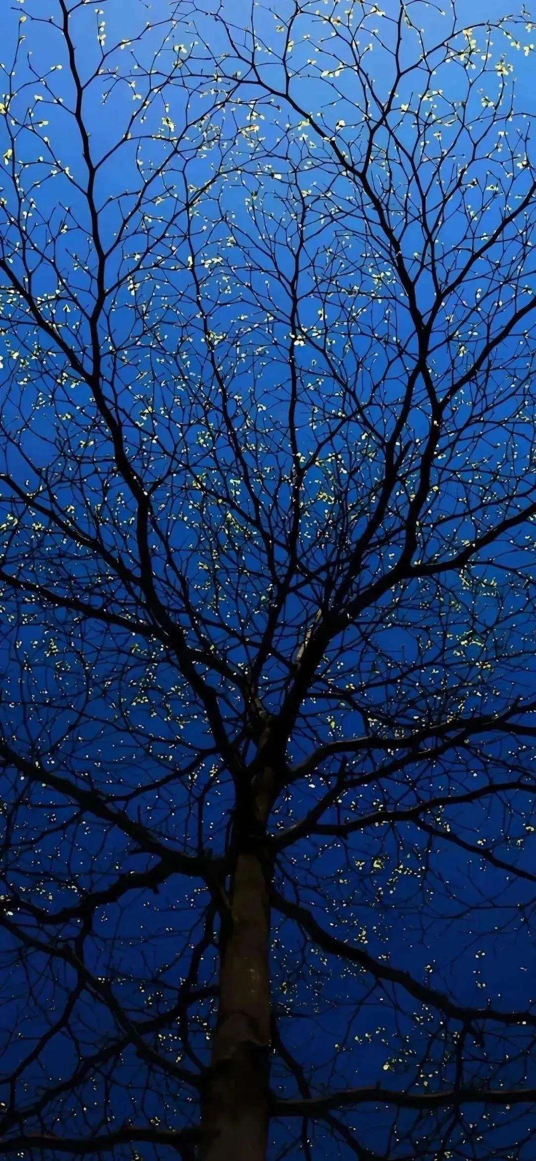 分享一批不错的手机壁纸