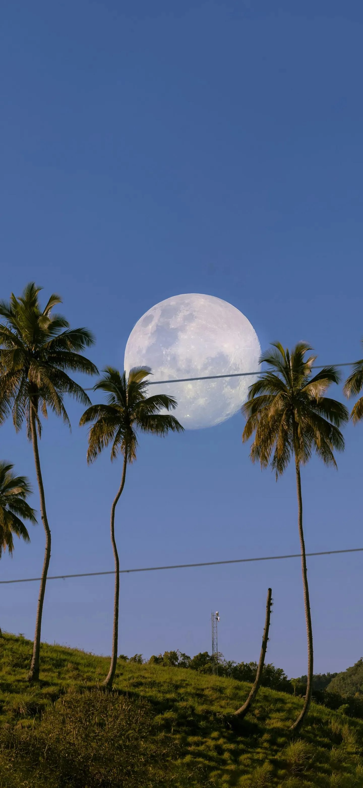 分享一批不错的手机壁纸