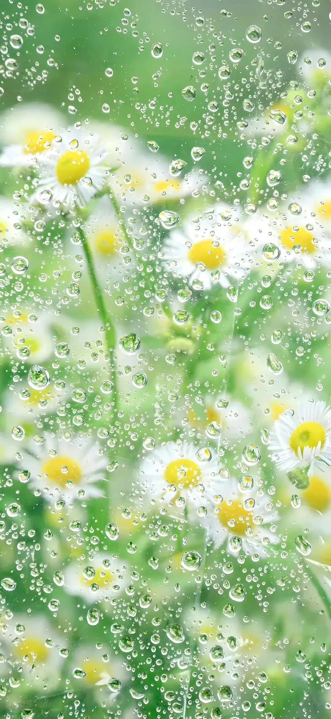 分享几张精美手机壁纸，有美女，有动漫