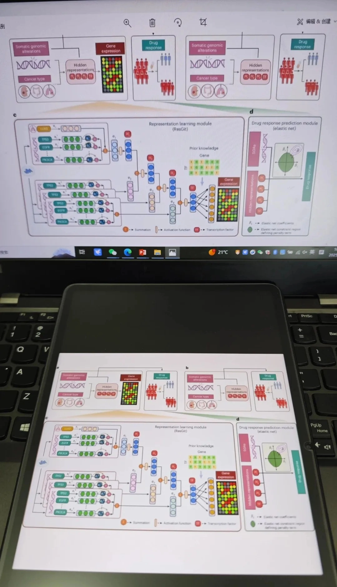 网友分享自己画深度学习图的姿势 - 万事屋 | 生活·动漫·娱乐综合社区-银魂同好聚集地