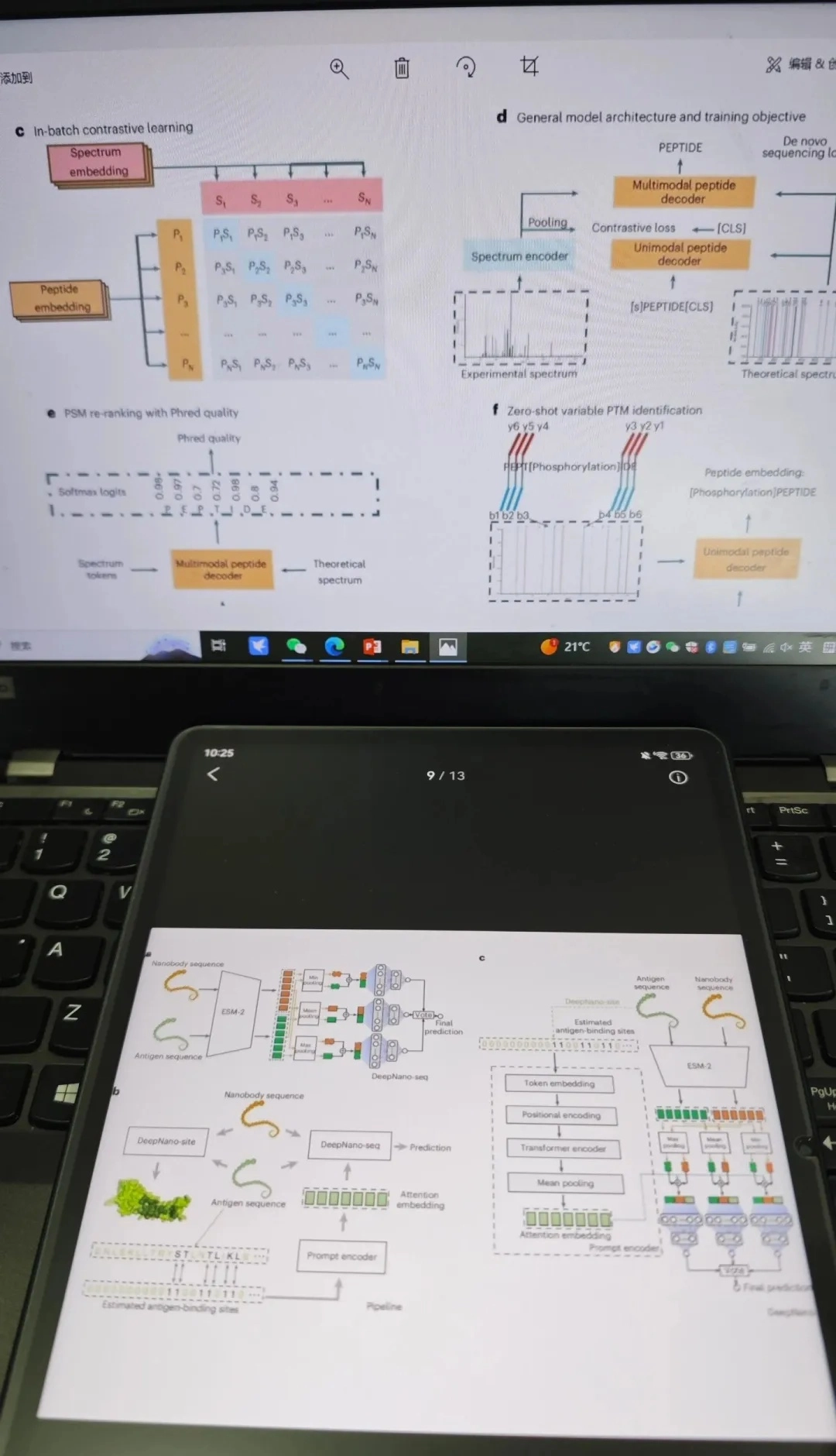 网友分享自己画深度学习图的姿势