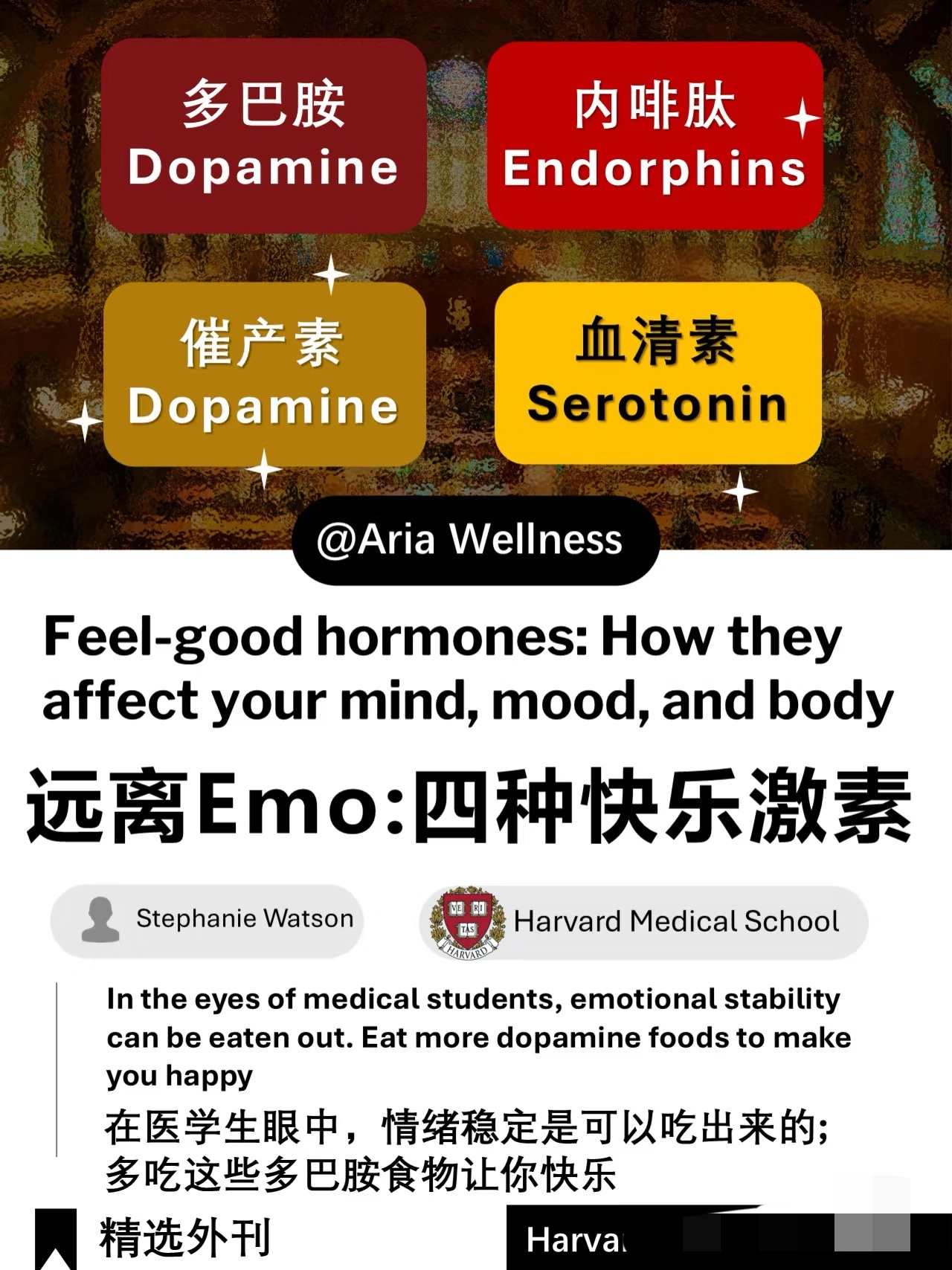 哈佛医学院：情绪稳定是可以吃出来的 - 生活银魂 - 大众生活 - 万事屋 | 生活·动漫·娱乐综合社区-银魂同好聚集地